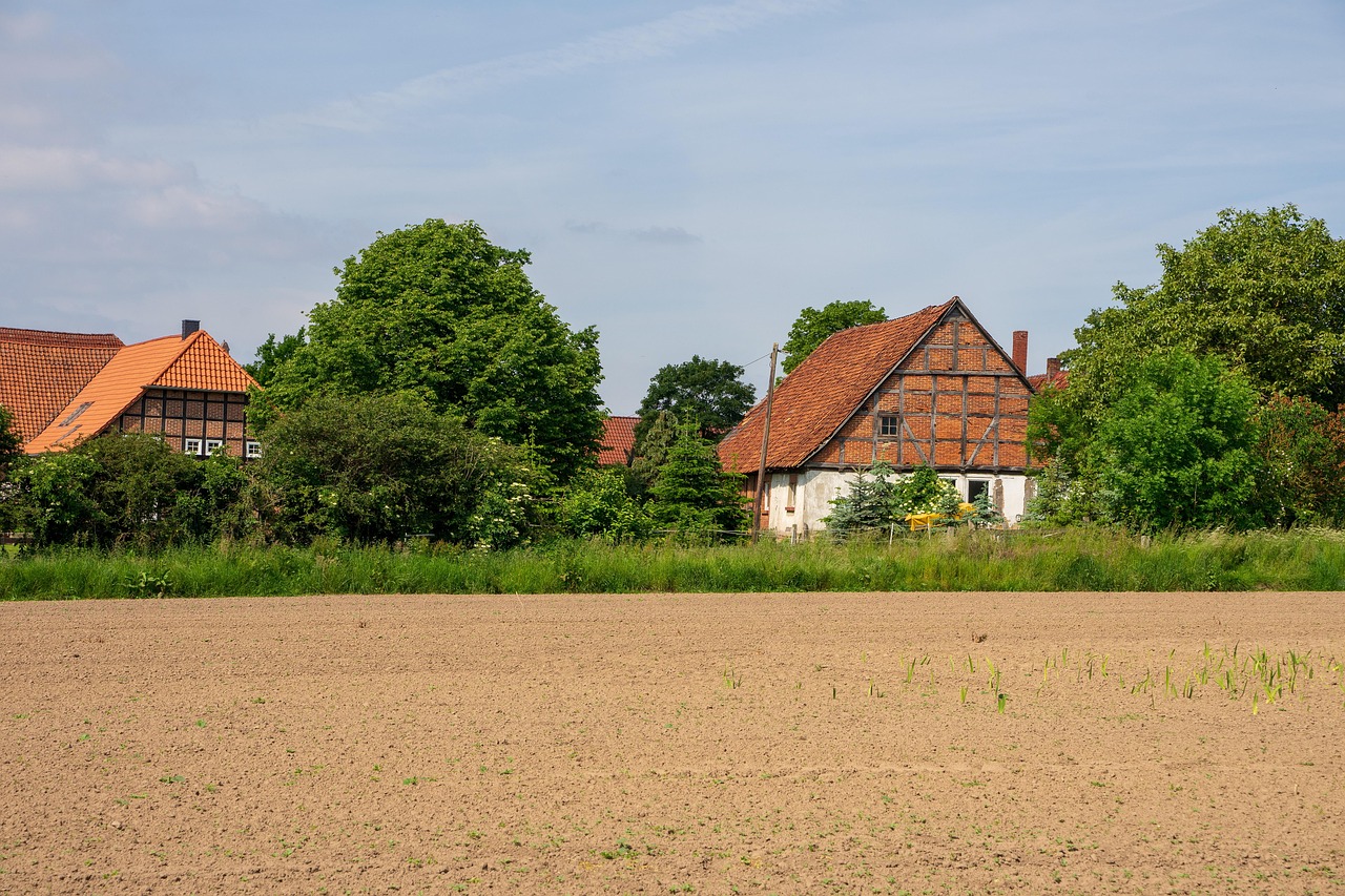 Vermietung im eigenen Haus: Rechte, Pflichten und Kautionsregeln